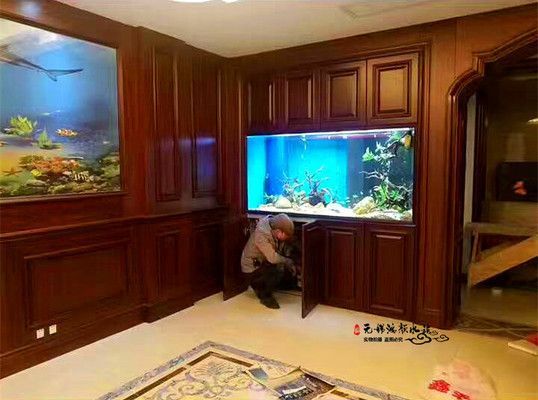 高檔龍魚缸,如何打造一個既實用又美觀的高檔龍魚缸 魚缸百科 第5張 高檔龍魚缸,如何打造一個既實用又美觀的高檔龍魚缸 高檔龍魚缸,如何打造一個既實用又美觀的高檔龍魚缸 魚缸百科 第5張