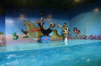 烏魯木齊水族館，烏魯木齊水族館特色展覽介紹繽紛水族館特色展覽介紹