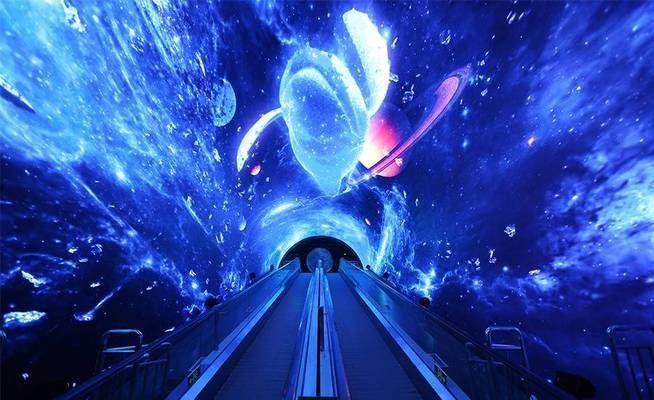 水族館哪里的比較好玩一點(diǎn)（上海海洋水族館親子活動(dòng)安排）