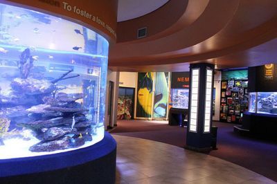 水族館哪里的比較好玩一點(diǎn)（上海海洋水族館親子活動(dòng)安排）