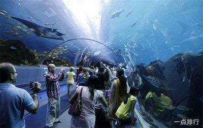 世界十大水族館排名（世界十大水族館排名，上海海洋水族館隧道體驗感受） 世界十大水族館排名（世界十大水族館排名，上海海洋水族館隧道體驗感受） 水族館百科（水族館加盟） 第2張