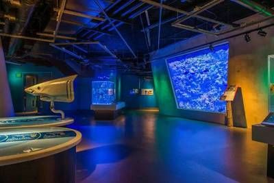 水族館搭建（關于水族館搭建的詳情） 水族館搭建（關于水族館搭建的詳情） 水族館百科（水族館加盟） 第4張