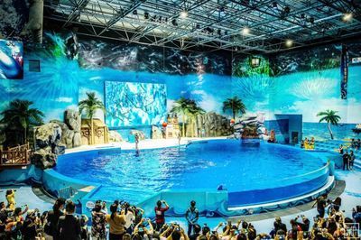 水族館搭建（關于水族館搭建的詳情） 水族館搭建（關于水族館搭建的詳情） 水族館百科（水族館加盟） 第3張