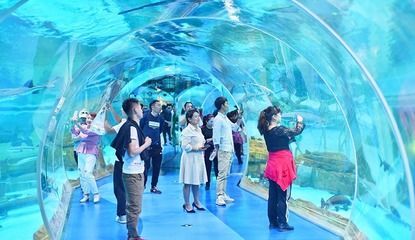 水族館搭建（關于水族館搭建的詳情） 水族館搭建（關于水族館搭建的詳情） 水族館百科（水族館加盟） 第5張