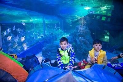 水族館搭建（關于水族館搭建的詳情） 水族館搭建（關于水族館搭建的詳情） 水族館百科（水族館加盟） 第6張