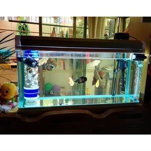 博宇（BOYU）魚缸，博宇魚缸在家裝中的搭配技巧博宇魚缸在家裝中的搭配技巧