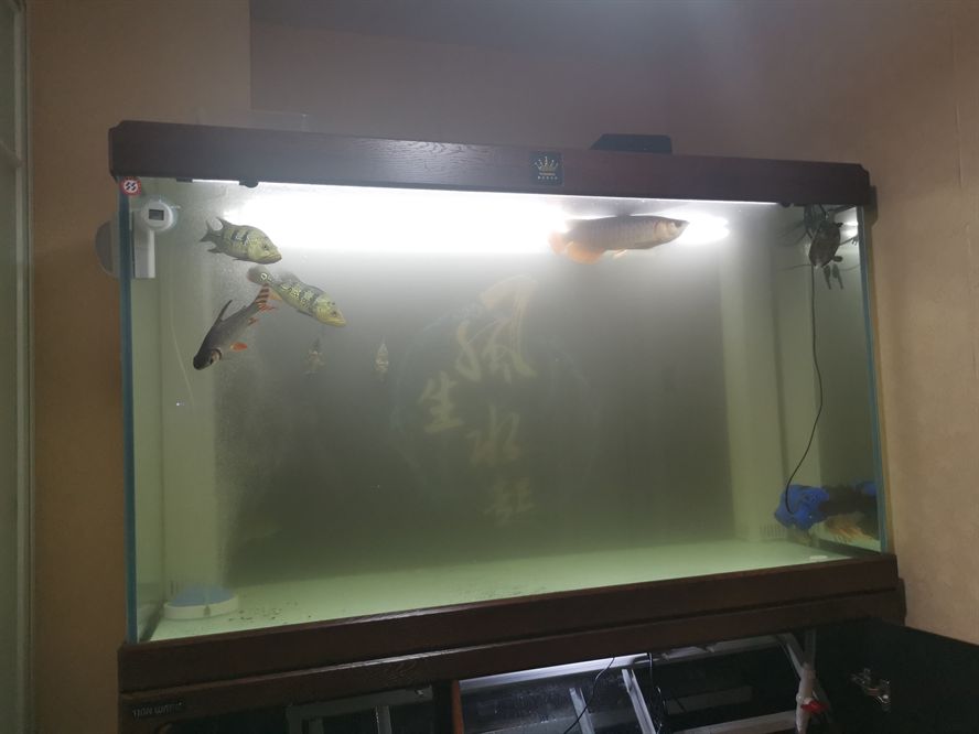 墨水汁怎么辦？？？