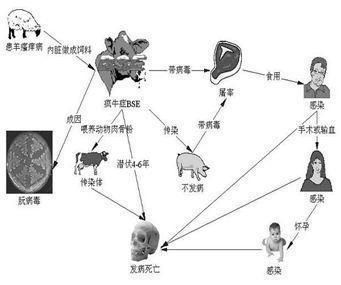 金龍魚運輸前后溫差處理：金龍魚在運輸過程中的溫差處理是一個重要的環(huán)節(jié)