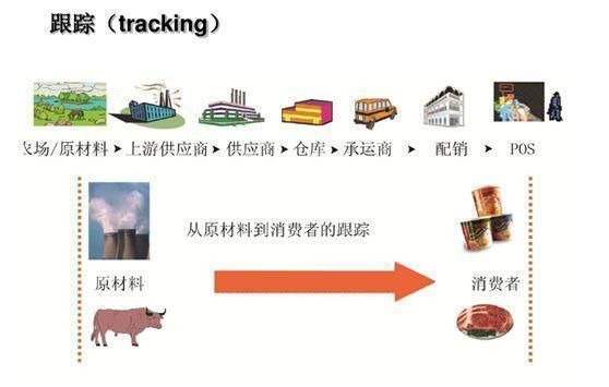 金龍魚運輸前后溫差處理：金龍魚在運輸過程中的溫差處理是一個重要的環(huán)節(jié)