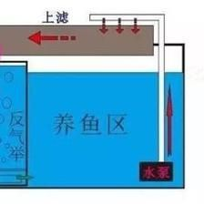 魚缸出水口最佳方向