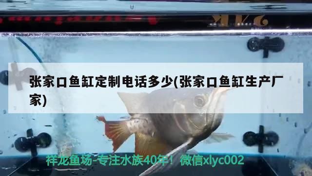 張家口魚缸定制電話多少(張家口魚缸生產廠家) 張家口魚缸定制電話多少(張家口魚缸生產廠家) 錦鯉魚百科 第2張