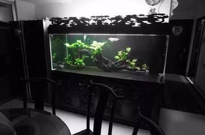 龍魚過濾器材怎么搭配好，龍魚過濾器材搭配 龍魚過濾器材怎么搭配好，龍魚過濾器材搭配 魚缸百科 第6張