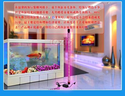 龍魚過濾器材怎么搭配好，龍魚過濾器材搭配 龍魚過濾器材怎么搭配好，龍魚過濾器材搭配 魚缸百科 第5張