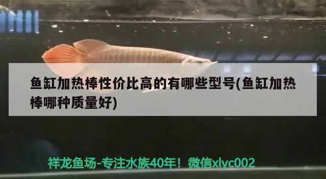 魚缸加熱棒性價比高的有哪些型號(魚缸加熱棒哪種質(zhì)量好) 魚缸加熱棒性價比高的有哪些型號(魚缸加熱棒哪種質(zhì)量好) 黃金貓魚百科 第3張