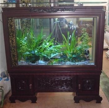 1.2米的魚缸多少錢：1.2米的魚缸多少錢一平方？