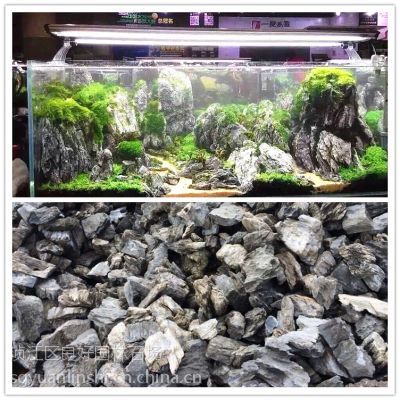 1.2米的魚缸多少錢：1.2米的魚缸多少錢一平方？