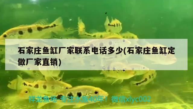 昌平魚缸清洗服務(wù)電話（ 昌平賣觀賞魚的地方）