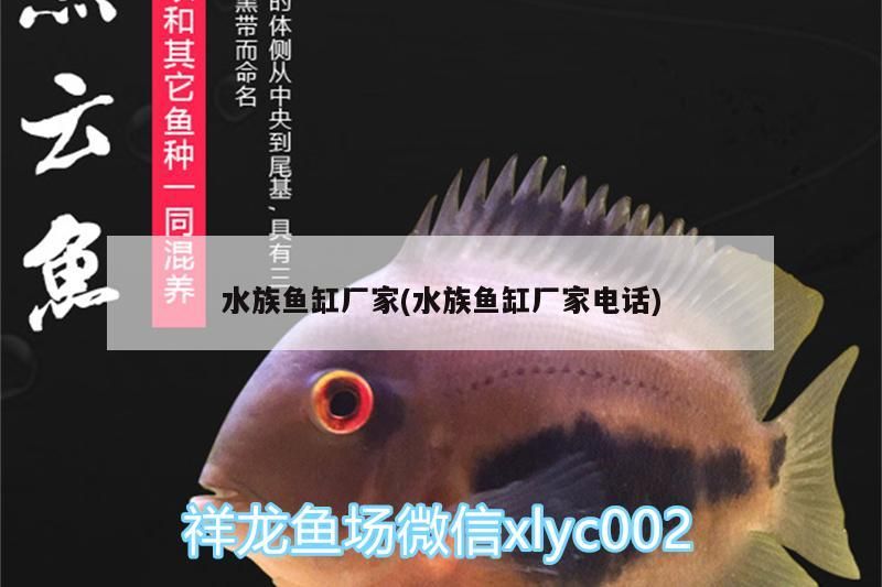 水族魚缸廠家(水族魚缸廠家電話) 虎魚百科 第3張 水族魚缸廠家(水族魚缸廠家電話) 水族魚缸廠家(水族魚缸廠家電話) 虎魚百科 第3張