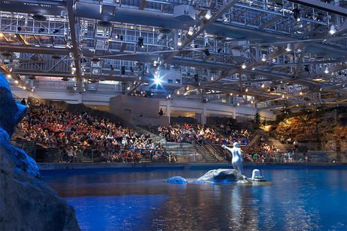 開一家水族館需要些什么東西呢英語(開設(shè)一家水族館需要準(zhǔn)備一系列設(shè)備和物品)