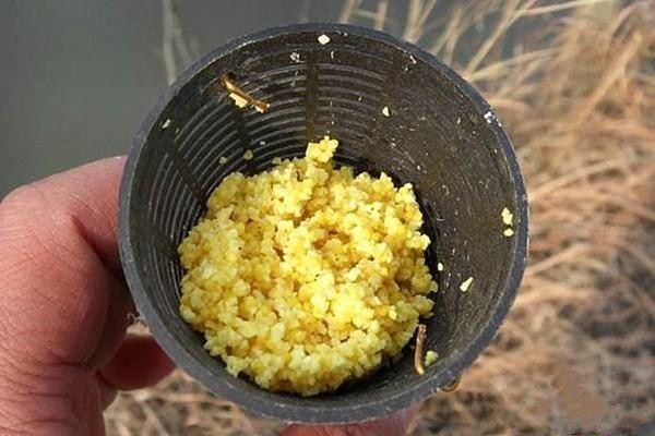 龍魚內(nèi)寄能自愈嗎？科學(xué)解析與應(yīng)對(duì)策略，龍魚內(nèi)寄能否自愈？科學(xué)解析與防治方案