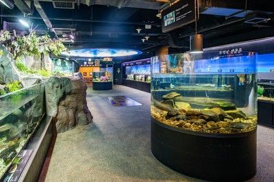 水族館門面圖片（關于水族館門面圖片的分析）