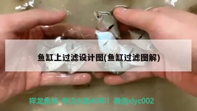 魚缸上過濾設計圖(魚缸過濾圖解)