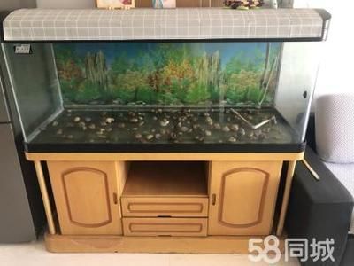 魚缸品牌大全排名榜，魚缸品牌口碑評價查詢魚缸品牌最新排名更新魚缸品牌市場占有率 魚缸品牌大全排名榜，魚缸品牌口碑評價查詢魚缸品牌最新排名更新魚缸品牌市場占有率 魚缸百科 第5張