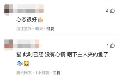 龍魚麻醉用什么藥？安全有效的麻醉方法詳解，龍魚麻醉安全用藥指南及有效方法詳解 龍魚麻醉用什么藥？安全有效的麻醉方法詳解，龍魚麻醉安全用藥指南及有效方法詳解 龍魚常見疾病 第6張
