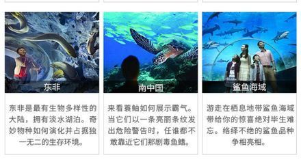 水族館起什么名字霸氣點（水族館名字應該體現出其獨特的魅力和特色，同時要易于記憶、發音清晰）