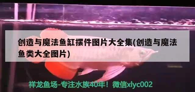 龍魚腮軟膜長(zhǎng)白毛需要及時(shí)進(jìn)行治療以下可能的治療方法，如何治療龍魚腮軟膜長(zhǎng)白毛