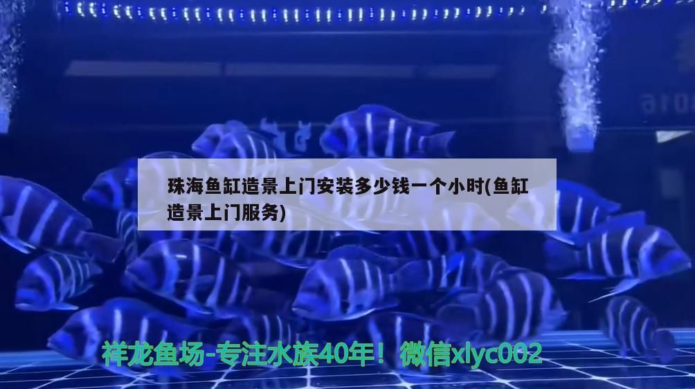 珠海魚缸造景上門安裝多少錢一個小時(魚缸造景上門服務)