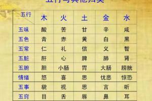 印尼紅龍魚(yú)好養(yǎng)嗎怎么養(yǎng)的好看圖片(印尼紅龍魚(yú)好養(yǎng)嗎怎么養(yǎng)的好看圖片)