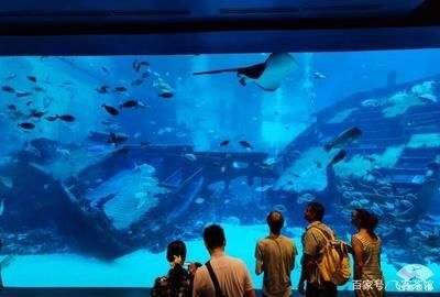 高端水族館（三亞亞特蘭蒂斯水族箱優惠活動魚寶貝水族箱優惠活動）