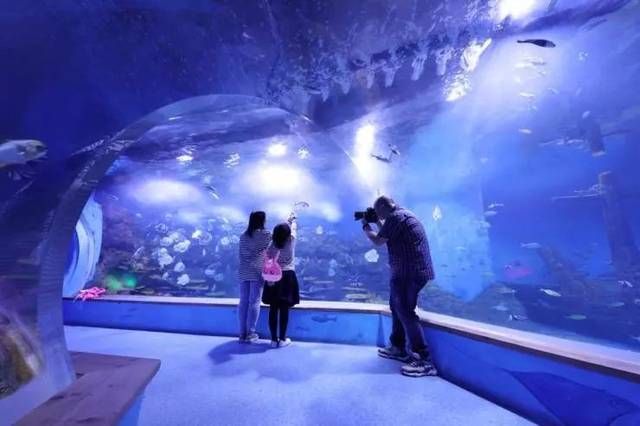 高端水族館（三亞亞特蘭蒂斯水族箱優惠活動魚寶貝水族箱優惠活動）