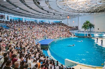 開水族館需要辦什么證件嗎要多少錢（開水族館需要辦理什么證件） 開水族館需要辦什么證件嗎要多少錢（開水族館需要辦理什么證件） 水族館百科（水族館加盟） 第2張