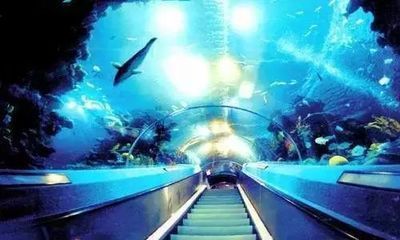 開水族館需要辦什么證件嗎要多少錢（開水族館需要辦理什么證件） 開水族館需要辦什么證件嗎要多少錢（開水族館需要辦理什么證件） 水族館百科（水族館加盟） 第4張