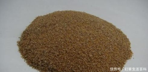 水族店元寶鳳凰魚飼料品牌：元寶鳳凰魚飼料品牌推薦，
