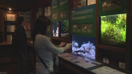 水族館發展前景分析論文（水族館發展前景分析） 水族館發展前景分析論文（水族館發展前景分析） 水族館百科（水族館加盟） 第4張