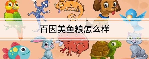 龍魚不愛吃食游動緩慢是什么原因引起的