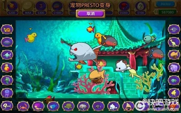 開個水族館游戲怎么玩（《和平精英》水族館游戲升級技巧分享水族館游戲內購項目介紹）