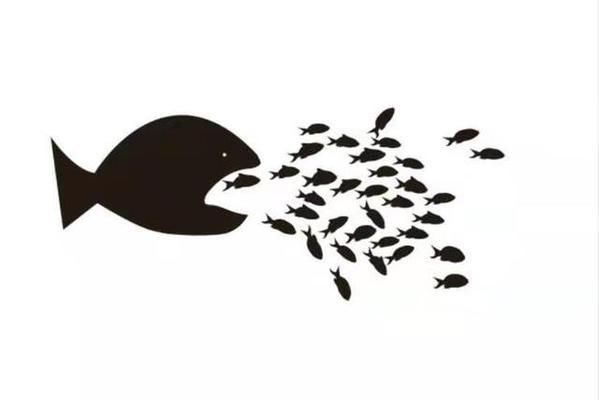 銀龍魚的養殖方法和技術（銀龍魚在養殖過程中對水溫有什么具體要求？）