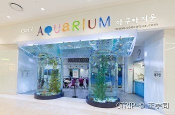 水族館里面都有什么（參觀水族館的最佳季節）