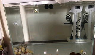 怎么養銀龍魚視頻(如何養銀龍魚視頻大全)