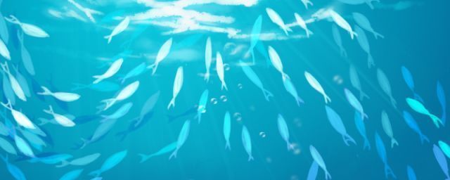 水族館兒童票多少歲（上海水族館兒童票多少歲詳情） 水族館兒童票多少歲（上海水族館兒童票多少歲詳情） 水族館百科（水族館加盟） 第2張