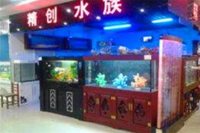 祥龍魚場水族館加盟條件如何(祥龍魚場加盟優勢分析) 水族館百科(水族館加盟) 第2張 祥龍魚場水族館加盟條件如何(祥龍魚場加盟優勢分析) 祥龍魚場水族館加盟條件如何(祥龍魚場加盟優勢分析) 水族館百科(水族館加盟) 第2張