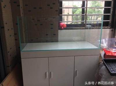 80厘米魚缸一個月多少度電：如何降低魚缸用電量 80厘米魚缸一個月多少度電：如何降低魚缸用電量 魚缸百科 第3張