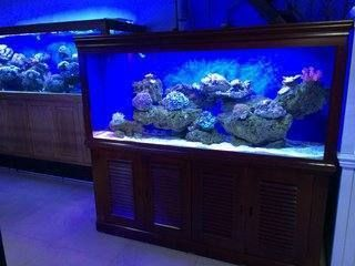 80厘米魚缸一個月多少度電：如何降低魚缸用電量 80厘米魚缸一個月多少度電：如何降低魚缸用電量 魚缸百科 第4張