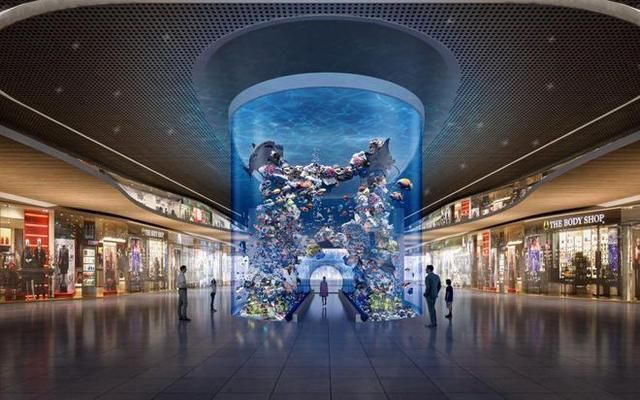 給水族館起個名字（如何給水族館起名字） 給水族館起個名字（如何給水族館起名字） 水族館百科（水族館加盟） 第6張