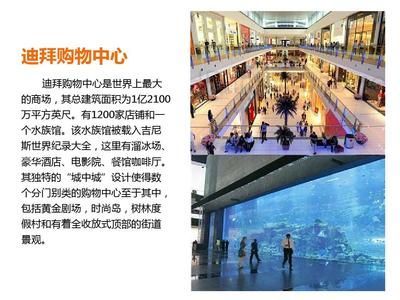 水族館店鋪分類屬于什么類型（觀賞魚專營店,綜合型水族館店鋪,）