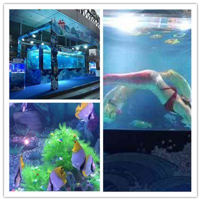 赤荔鳳冠魚的飼養要點，如何判斷水質適合赤荔鳳冠魚，赤荔鳳冠魚繁殖技巧分享